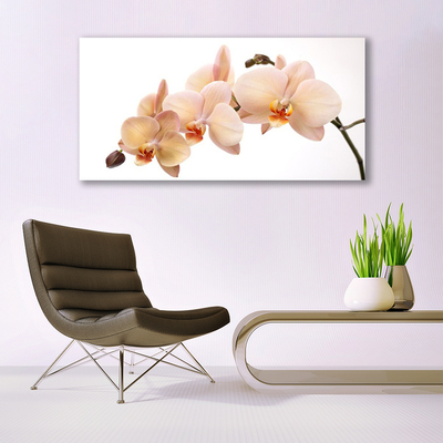 Canvas print Flowers floral white brown