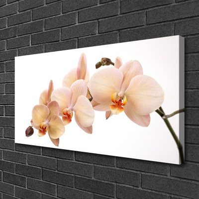 Canvas print Flowers floral white brown