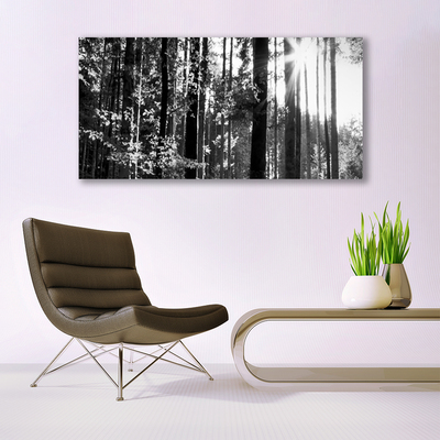 Canvas print Forest nature grey
