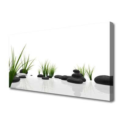 Canvas print Stones grass art black green