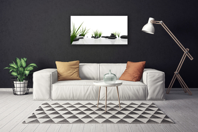 Canvas print Stones grass art black green