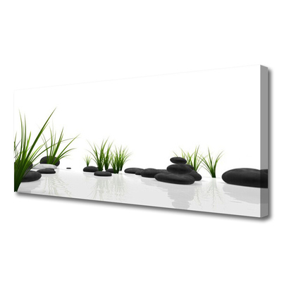 Canvas print Stones grass art black green