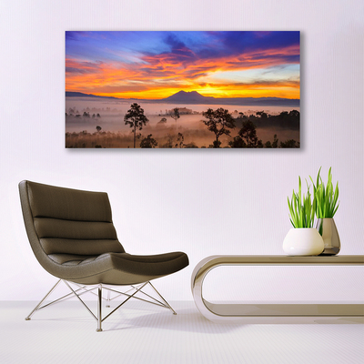 Canvas print Trees fog landscape yellow white black brown