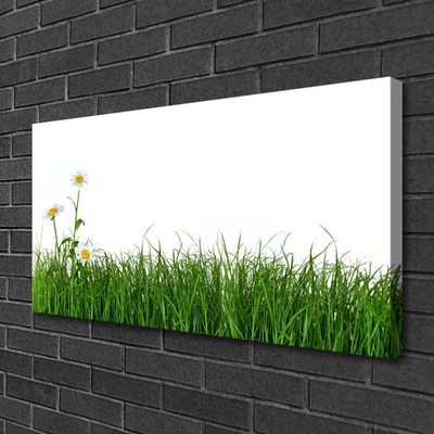 Canvas print Weed nature green