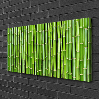 Canvas print Bamboo floral green