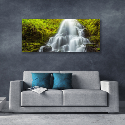 Canvas print Waterfall nature white grey green