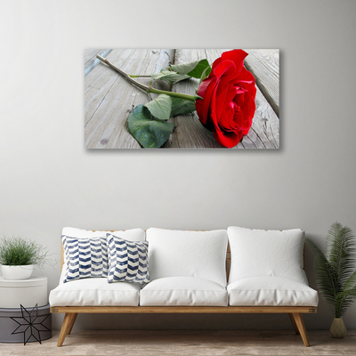 Canvas print Rose floral red green