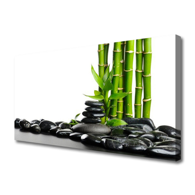 Canvas print Bamboo stones art green black