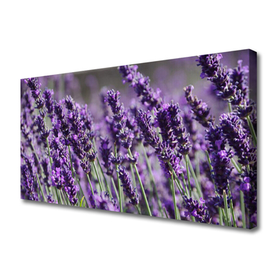 Canvas print Flowers floral purple