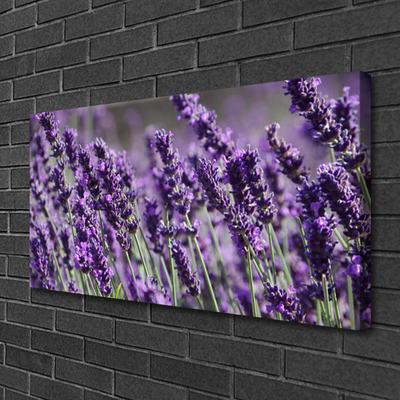 Canvas print Flowers floral purple