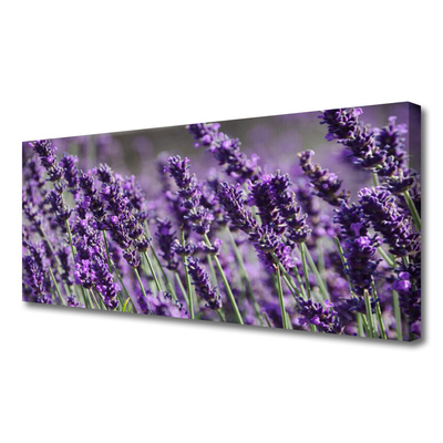 Canvas print Flowers floral purple