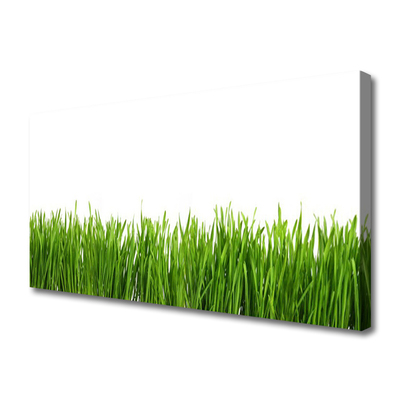 Canvas print Grass nature green