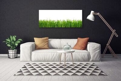 Canvas print Grass nature green