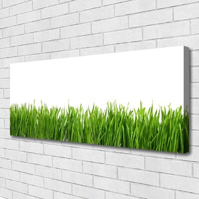 Canvas print Grass nature green