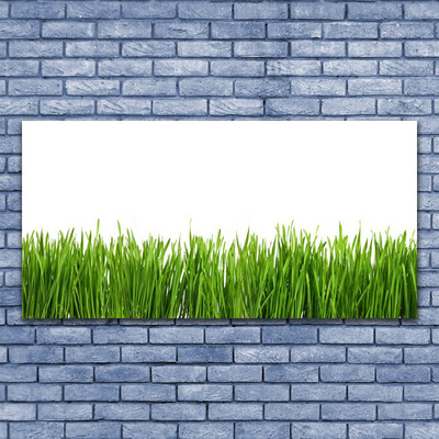 Canvas print Grass nature green