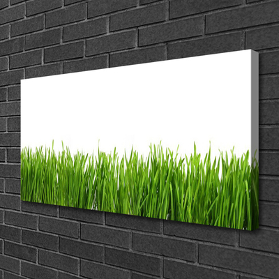 Canvas print Grass nature green