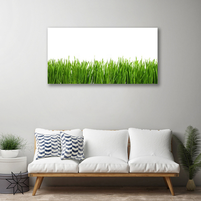 Canvas print Grass nature green