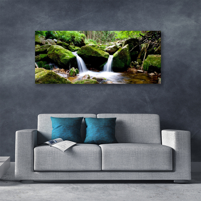 Canvas print Waterfall rocks nature green white grey