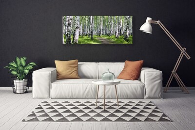 Canvas print Forest footpath nature green brown white black