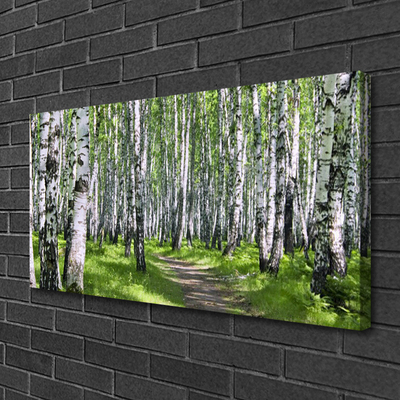 Canvas print Forest footpath nature green brown white black