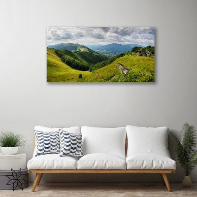 Canvas print Mountain meadow landscape green grey