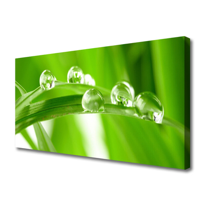 Canvas print Leaves floral green