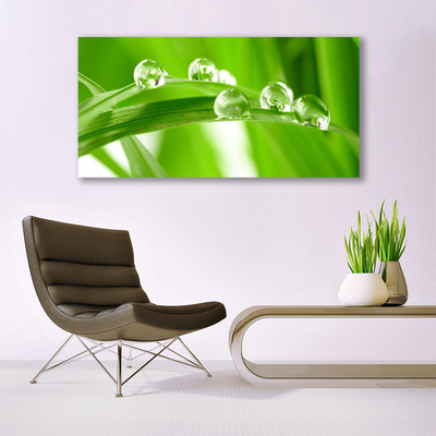 Canvas print Leaves floral green