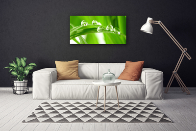 Canvas print Leaves floral green