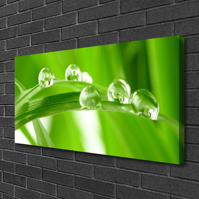 Canvas print Leaves floral green