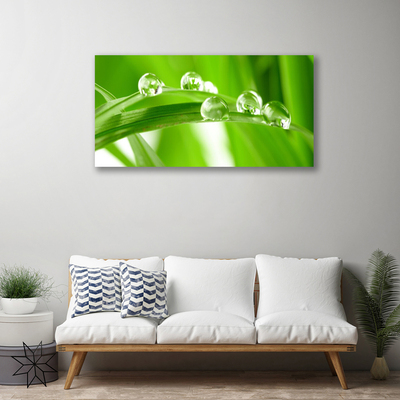 Canvas print Leaves floral green