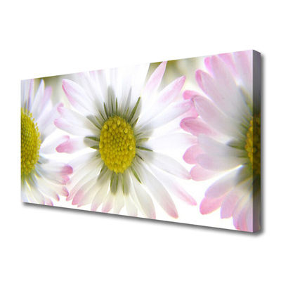 Canvas print Daisy floral green grey white