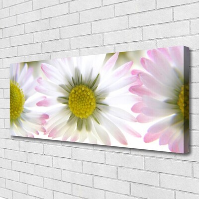 Canvas print Daisy floral green grey white