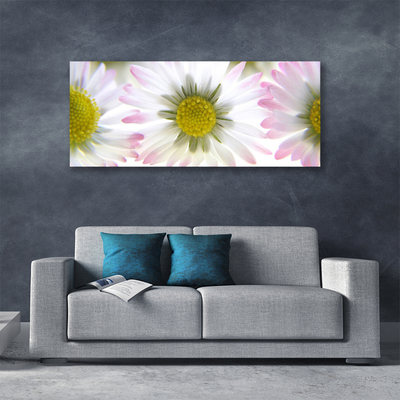 Canvas print Daisy floral green grey white