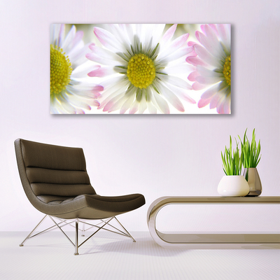 Canvas print Daisy floral green grey white