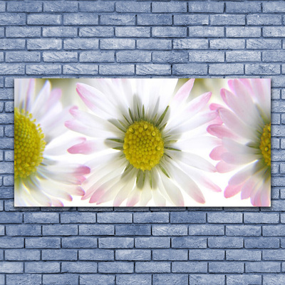 Canvas print Daisy floral green grey white