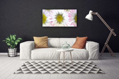 Canvas print Daisy floral green grey white