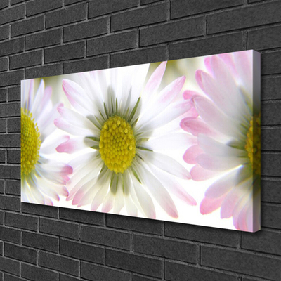 Canvas print Daisy floral green grey white