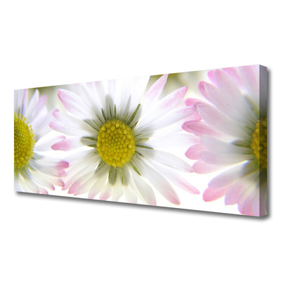 Canvas print Daisy floral green grey white