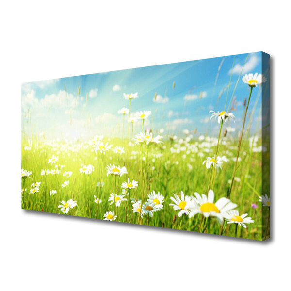 Canvas print Meadow daisies nature green white