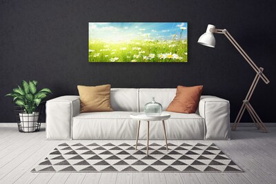 Canvas print Meadow daisies nature green white