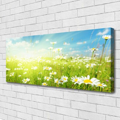 Canvas print Meadow daisies nature green white