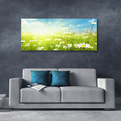 Canvas print Meadow daisies nature green white