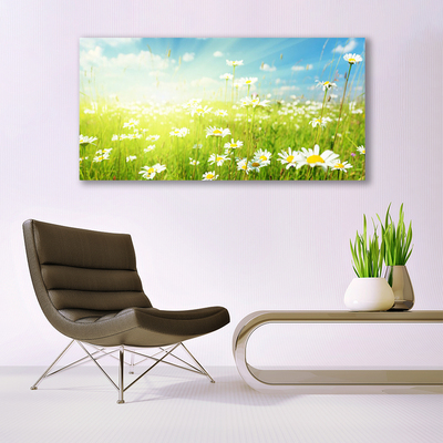 Canvas print Meadow daisies nature green white