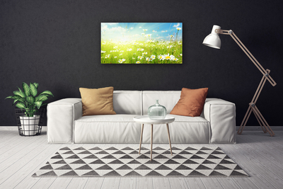 Canvas print Meadow daisies nature green white