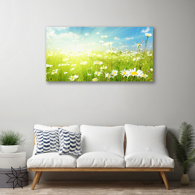 Canvas print Meadow daisies nature green white