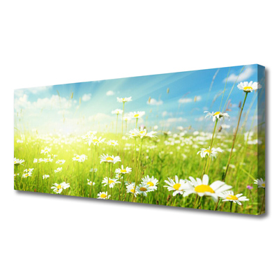 Canvas print Meadow daisies nature green white