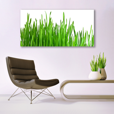 Canvas print Grass floral green