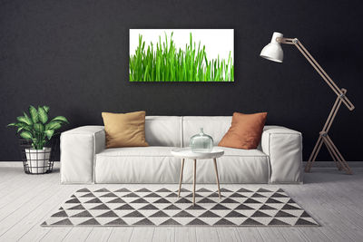 Canvas print Grass floral green