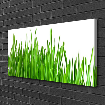 Canvas print Grass floral green