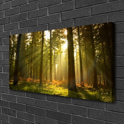 Canvas print Forest nature green brown
